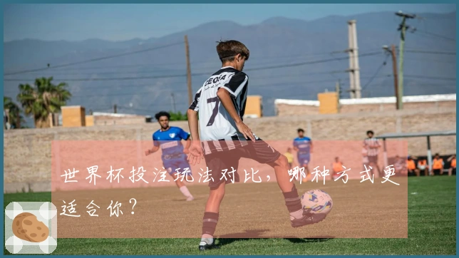 世界杯投注玩法对比，哪种方式更适合你？